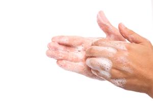 美容と健康のためにフコイダン商品を